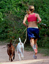 Einfhrung Laufen - Jogging - Ausdauertraining